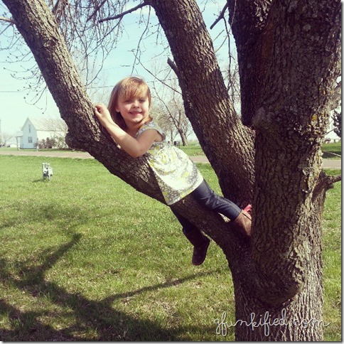 tree climber