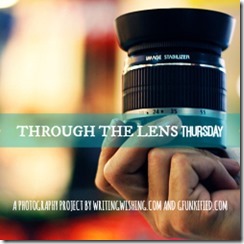 through-the-lens-thursday-250x250-button