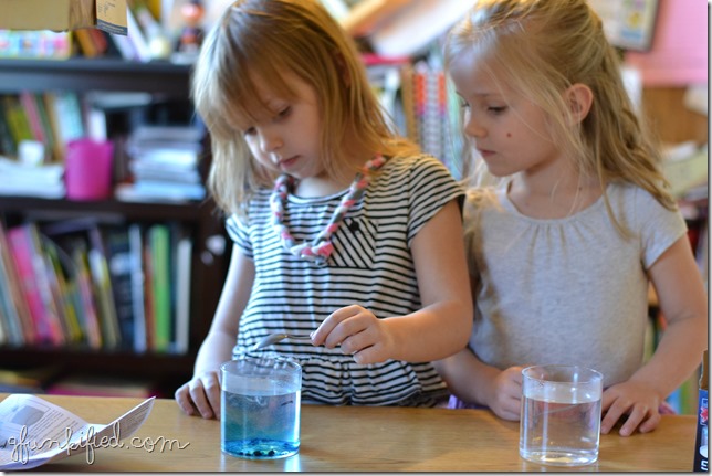 books 4iso 800 f2.8 1-80 sec