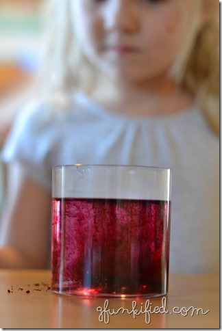 books1 iso 800 f2.8 1-80 sec