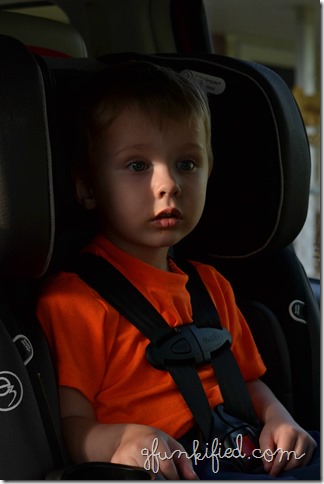 dream iso400 f5.6 1-80