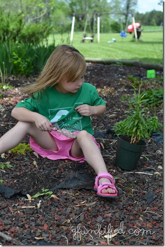 empty 35mm iso 200 f4.0 1-1000