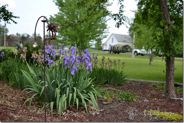 street 35mm iso200 f3.2 1-1600