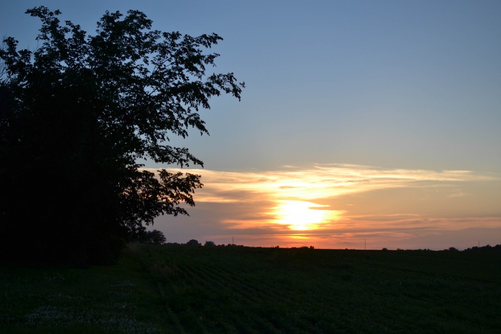 sunset iso200 35mm f3.2 1-2000