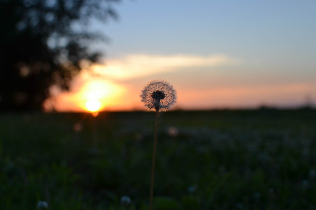 sunset iso200 35mm f4.5 1-400