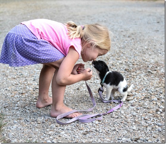 looking up iso 1600 35mm f3.5 1-1600