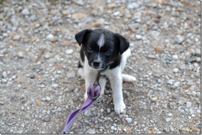 looking up2 iso 1600 35mm f3.5 1-1600