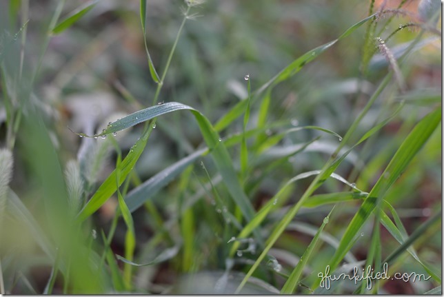 green iso200 f2.8 1-400