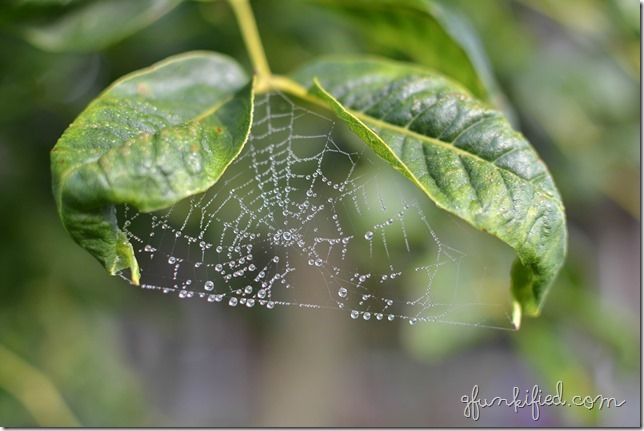 green iso200 f2.8 1-640
