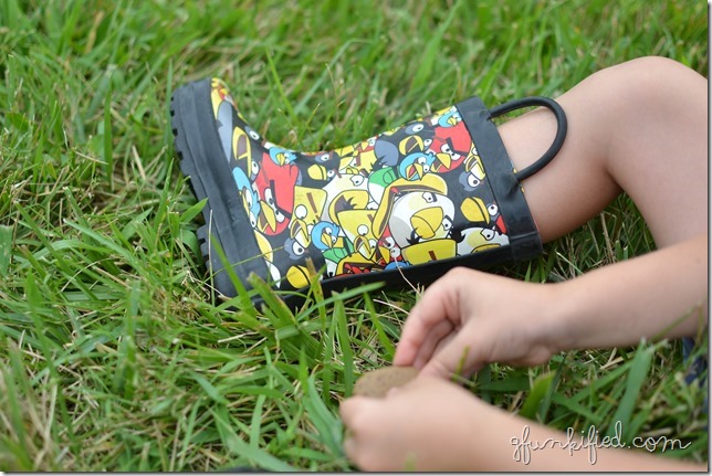 green4 iso200 f2.8 1-2000