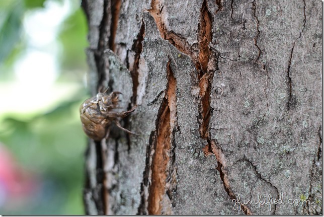 texture iso200 f3.2 1-250