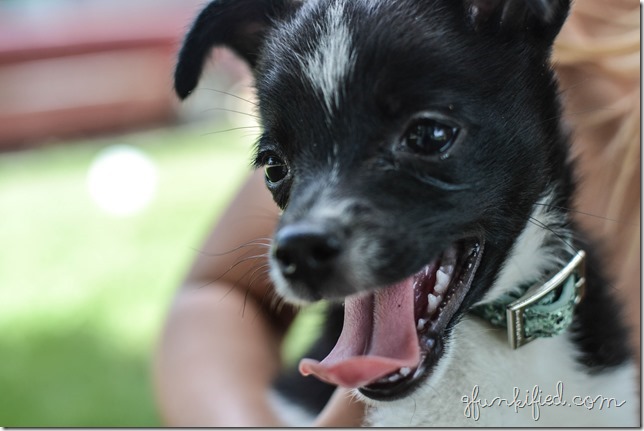 texture iso200 f3.2 1-500