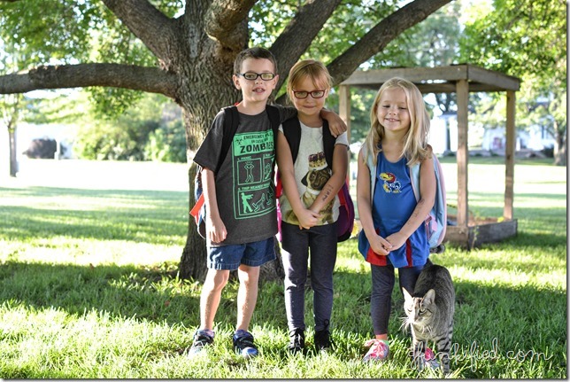 three first day 2014