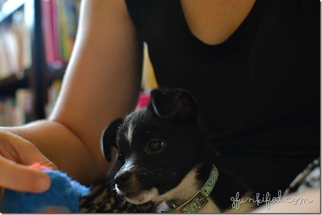 black iso1600 f4.0 1-50sec