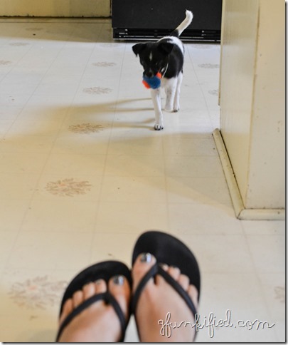 black iso1600 f4.0 1-80sec