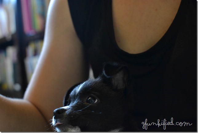 black2 iso1600 f4.0 1-50sec