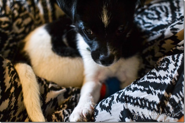 black2 iso1600 f4.0 1-80sec