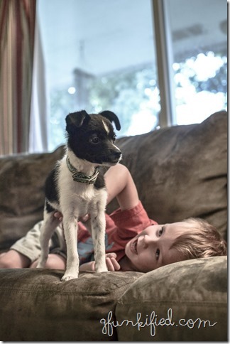 tall 2 iso800 35mm f3.2 1-50