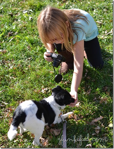 shine3 iso100 f3.2 1-400