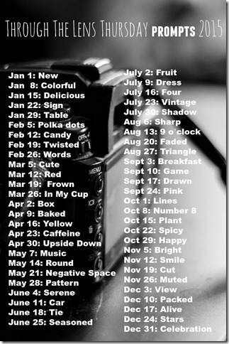 TTLT Prompts 2015