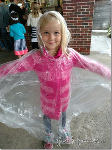 cinderella ponchos 1